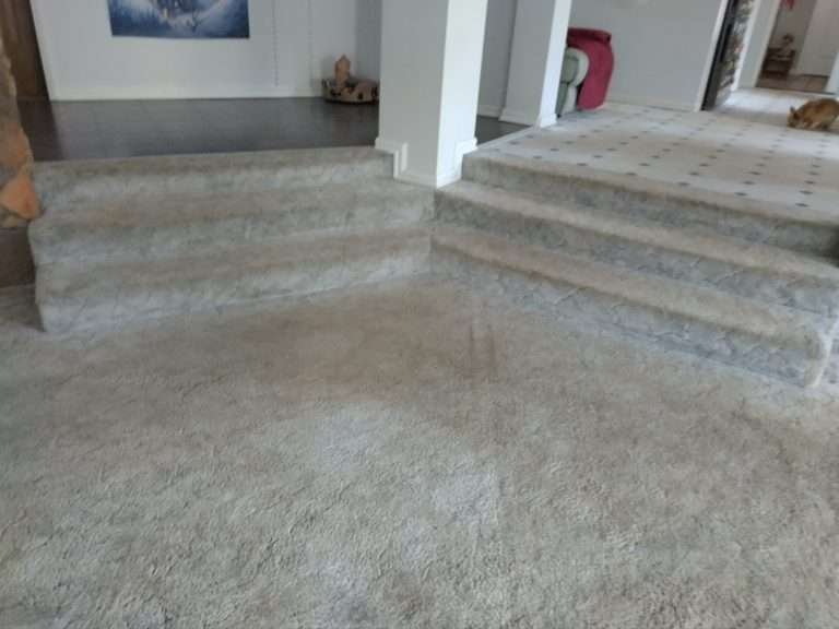 Unique carpet stairs before having hybrid planks installed